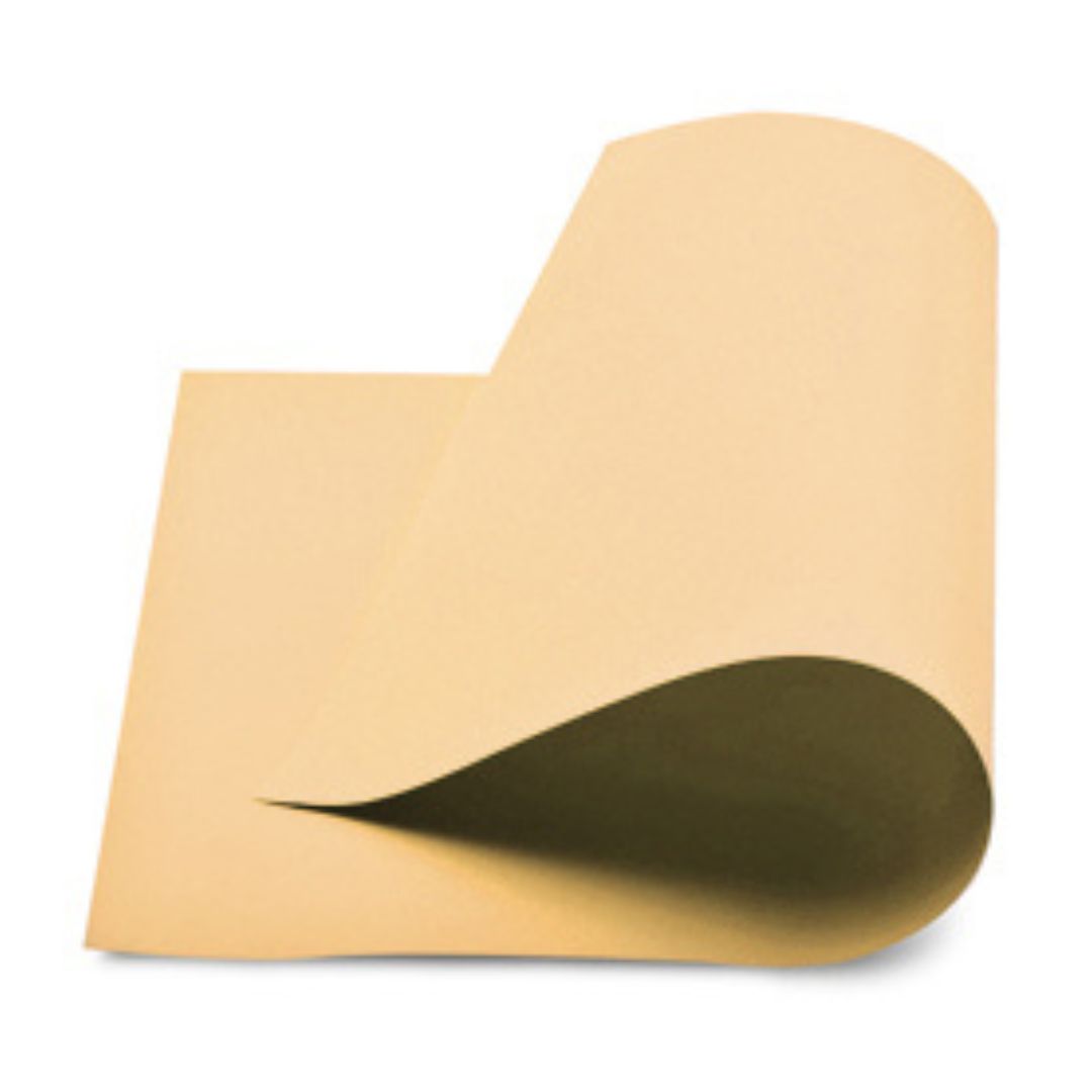 CARTULINA BEIGE PIEL