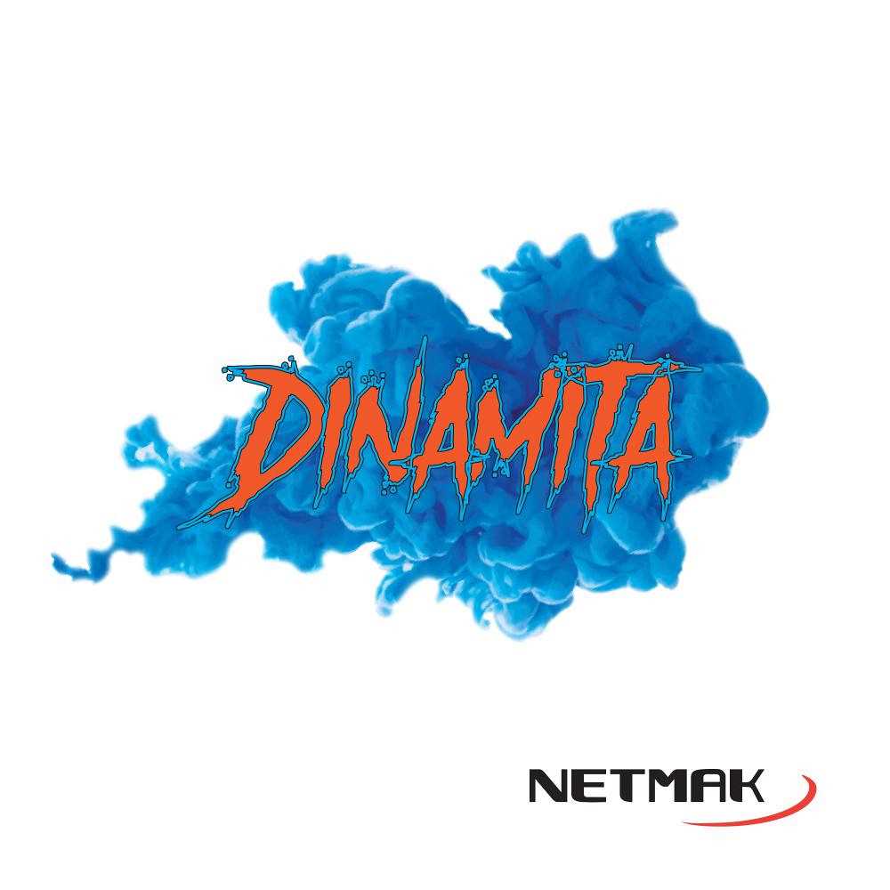 PARLANTE NETMAK BLUETOOTH DINAMITA 20W 8 X2  OUTLET SIN GARANTIA