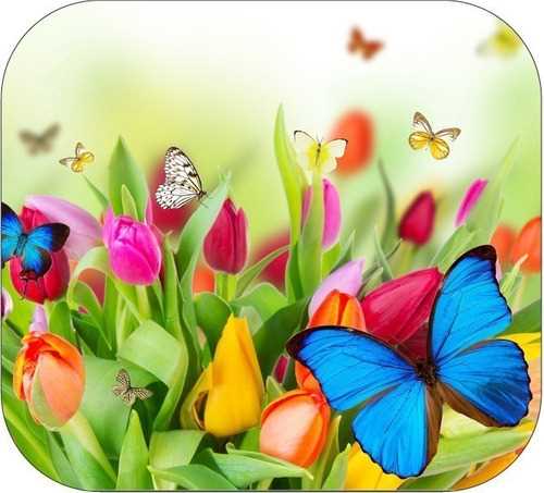 PAD MOUSE CDTEK LISO FLORES 21X19CM