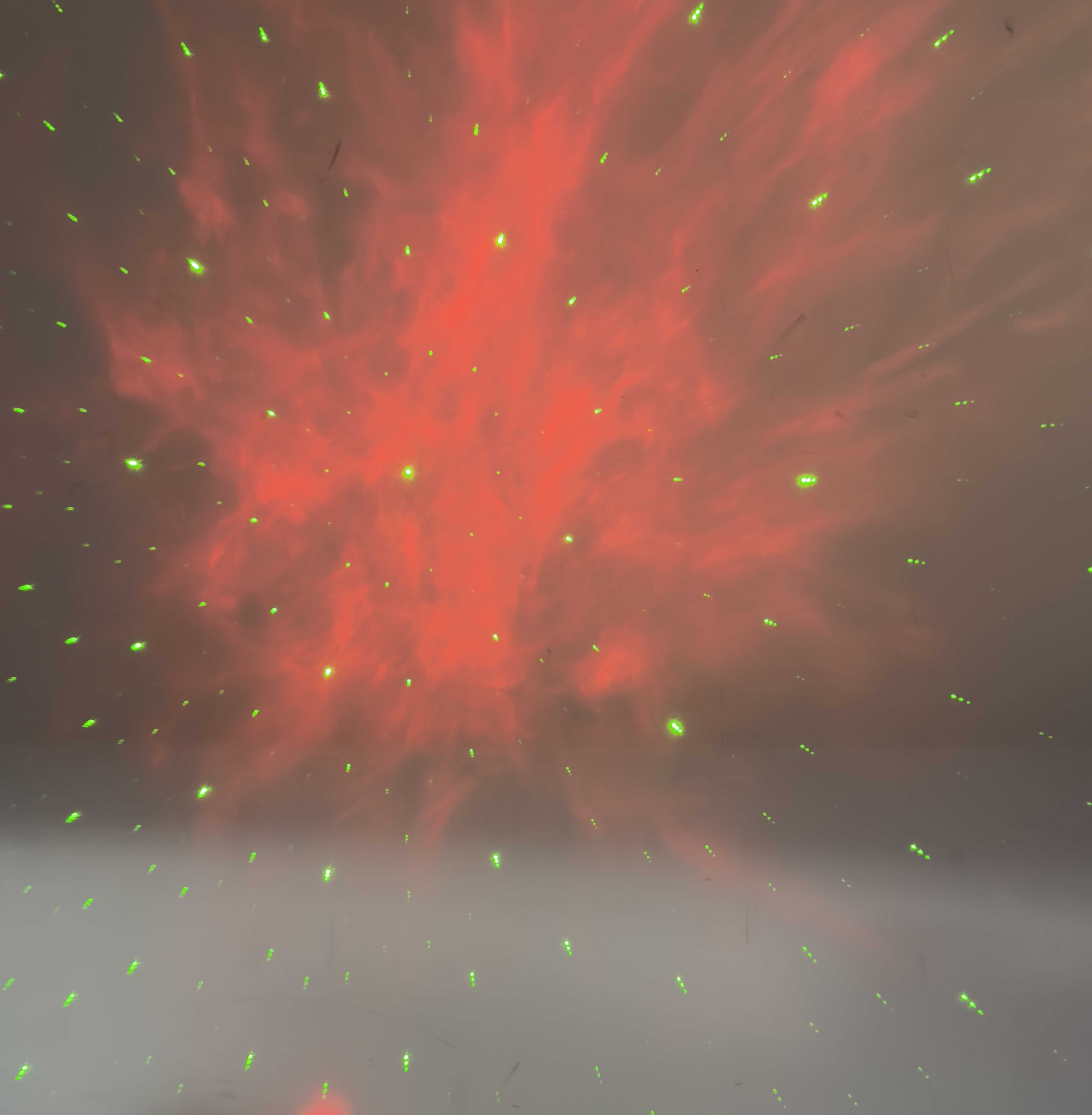 PROYECTOR LED ASTRONAUTA TW-006 ESTRELLA/GALAXIA