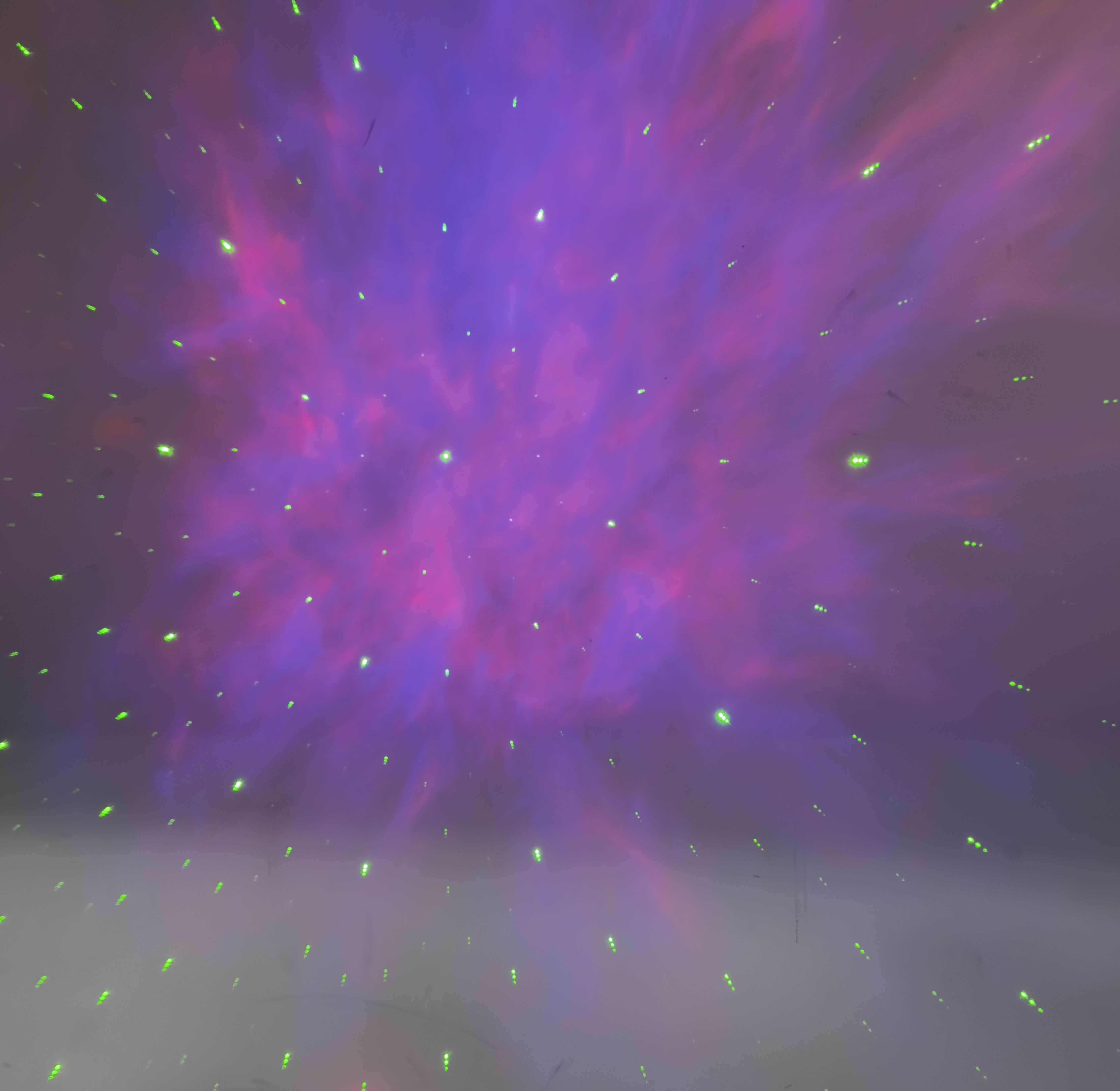 PROYECTOR LED ASTRONAUTA TW-006 ESTRELLA/GALAXIA