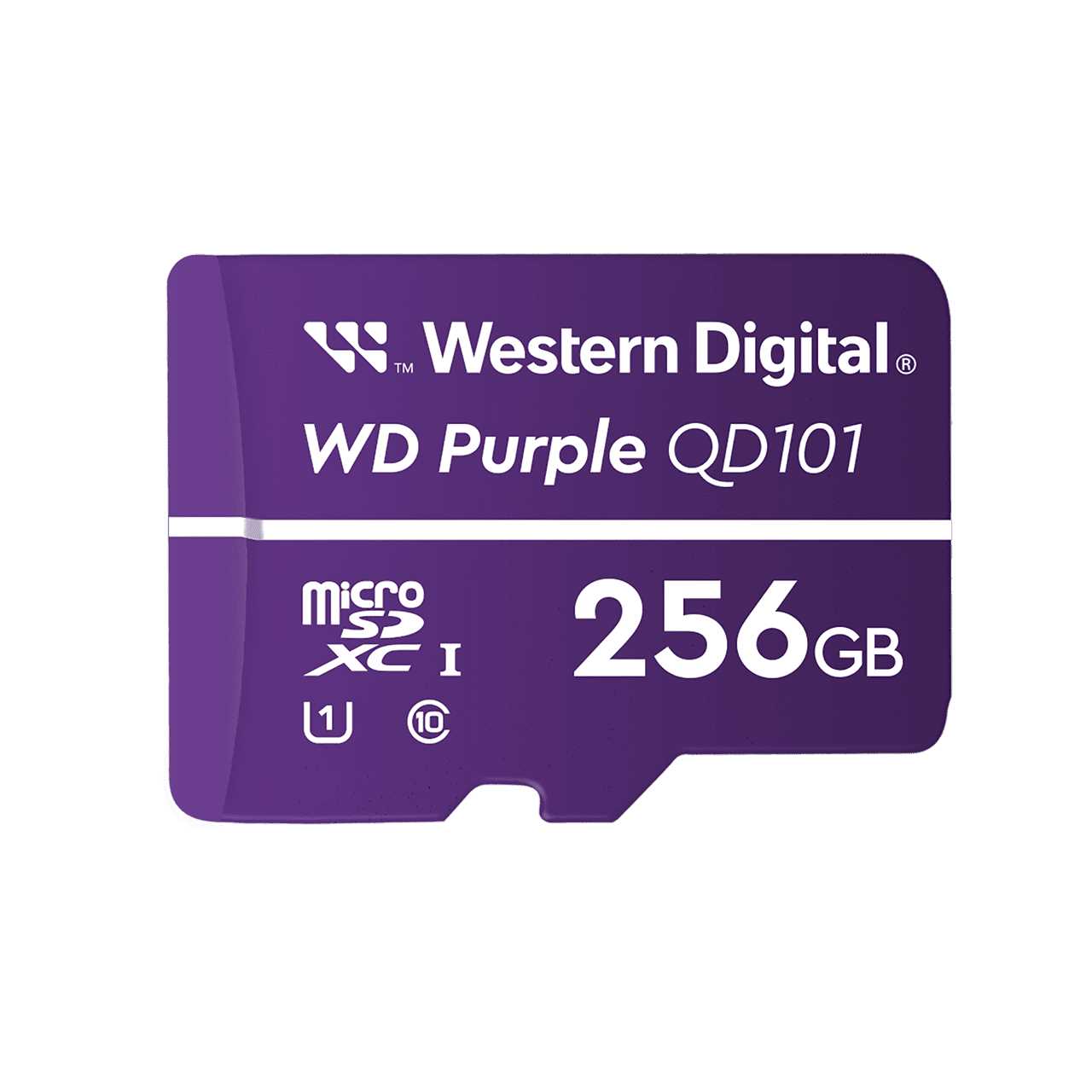 MEMORIA MICRO SD 256GB PURPLE WD P/VIIGILANCIA