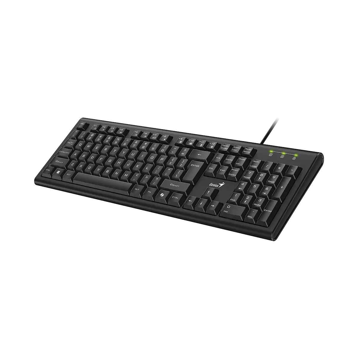 TECLADO GENIUS USB 2.0 KB-113 SP BLACK
