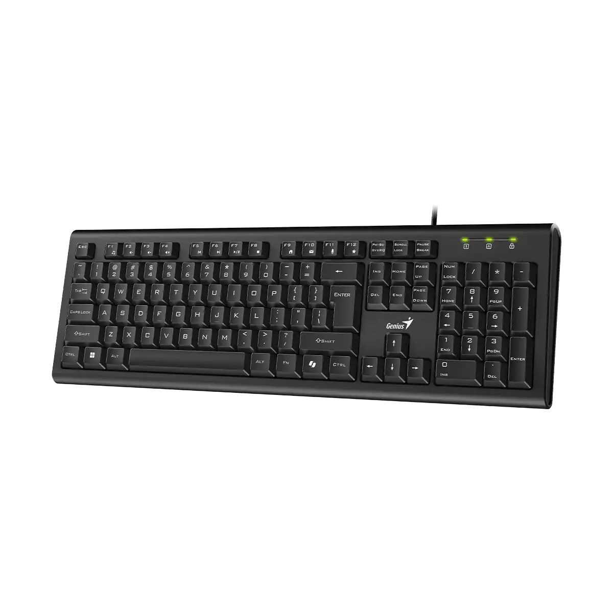 TECLADO GENIUS USB 2.0 KB-113 SP BLACK