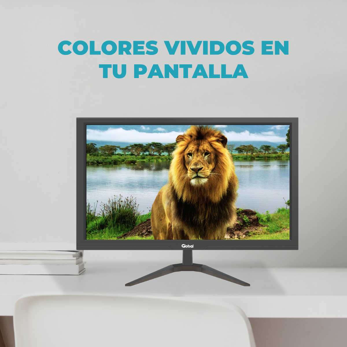 MONITOR 23.5  LED GLOBAL VGA/HDMI 60HZ 5MS